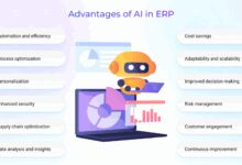 erp cost optimization