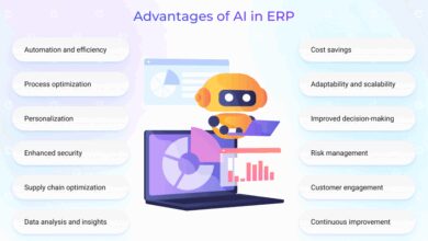 erp cost optimization