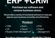 erp customization